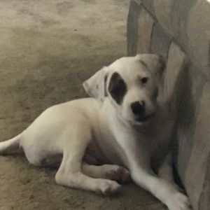 Meet your Posher, Madison